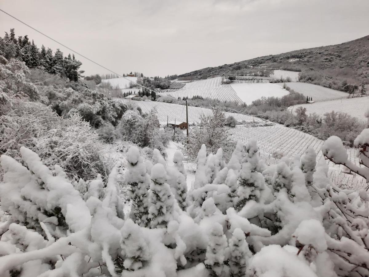 Villa Del Sole San Gimignano Exteriér fotografie