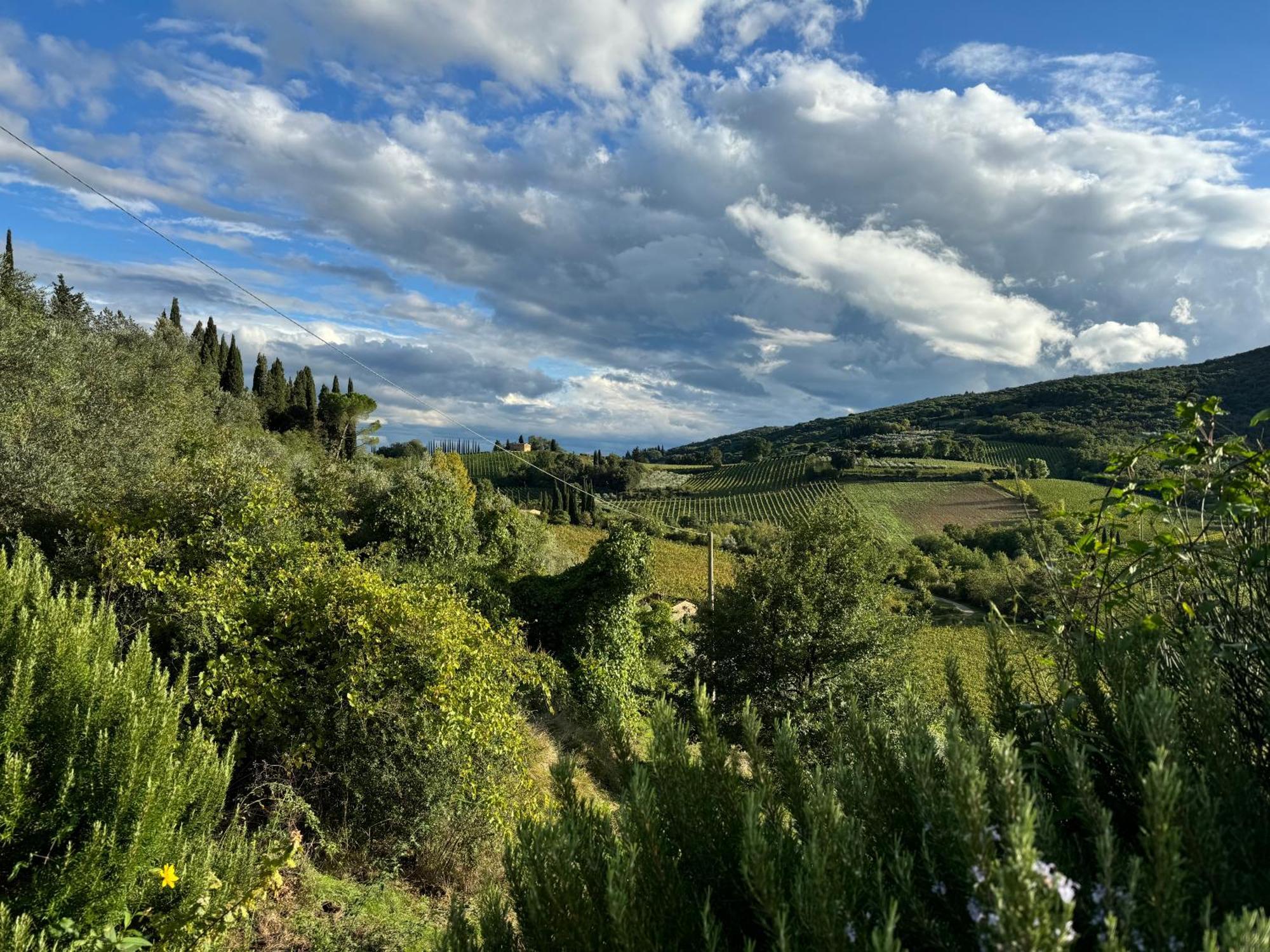 Villa Del Sole San Gimignano Exteriér fotografie
